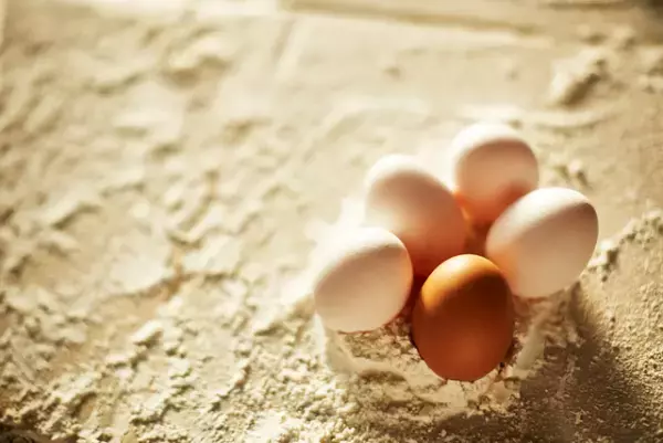 知的障害のある人が利用できる年金制度、障害年金。種類と等級、受給要件、申請方法などを解説します