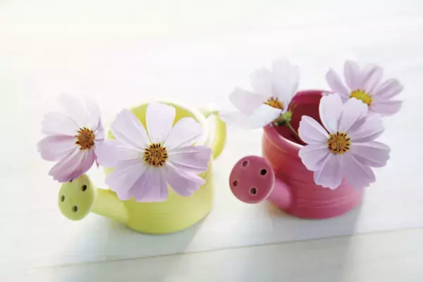 臨床発達心理士とは？臨床心理士との違いは？役割や資格取得の流れ、支援・サービスまとめ