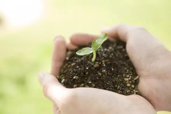 臨床発達心理士とは？臨床心理士との違いは？役割や資格取得の流れ、支援・サービスまとめ