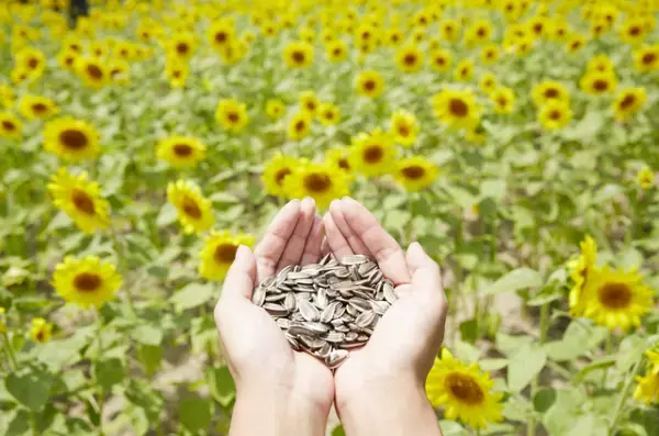 緊張病（カタトニア）とは？あがり症とは違うの？症状や治療法について解説します。