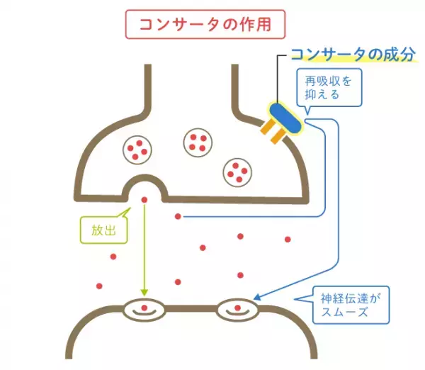 コンサータの効果や副作用は？ストラテラとどう違うの？ADHDのある人に処方される薬コンサータを解説！
