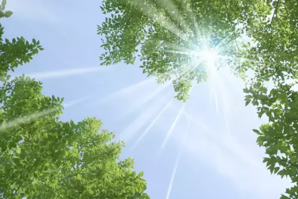 現役中学教師が思う、発達凸凹を生かす優しい社会の作り方