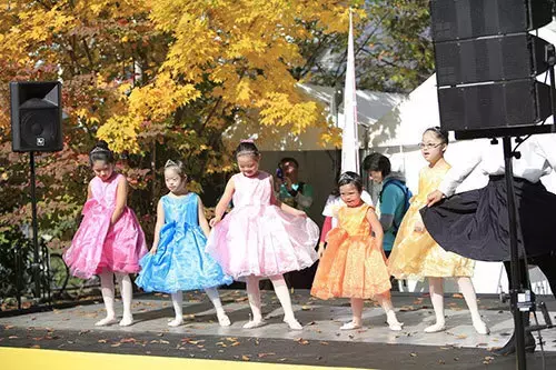 11月19日「バディウォーク東京」でダウン症のある人たちと歩こう！多彩なステージ、充実のフード類も