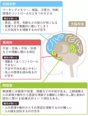 アスペルガー症候群（AS）の原因は？遺伝する確率はあるの？