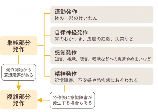 てんかんとは 原因や発作の種類 発達障害との関係や支援制度について紹介します 18年4月24日 ウーマンエキサイト 3 11