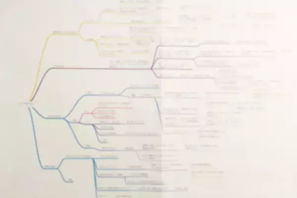 発達障害の僕が、障害をオープンにした就職活動で内定を得るまでの話