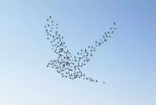 【後編】30歳、プログラマー、大人の発達障害。私が掴んだ「人生をラクに生きる」サバイバル術