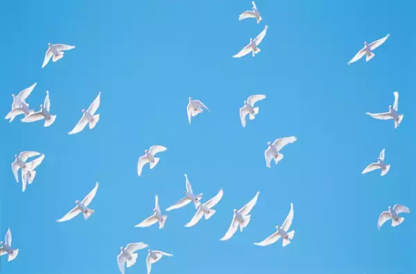 【後編】30歳、プログラマー、大人の発達障害。私が掴んだ「人生をラクに生きる」サバイバル術