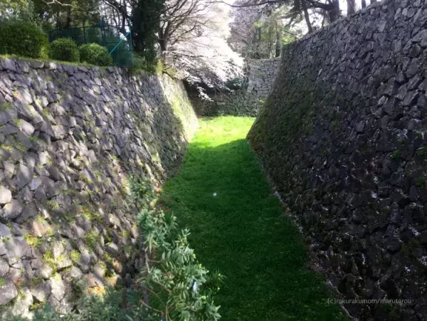 【発達凸凹男子、12才】小学校の学び方が合わなかった僕が、中学受験に合格し、勉強が好きになったワケ