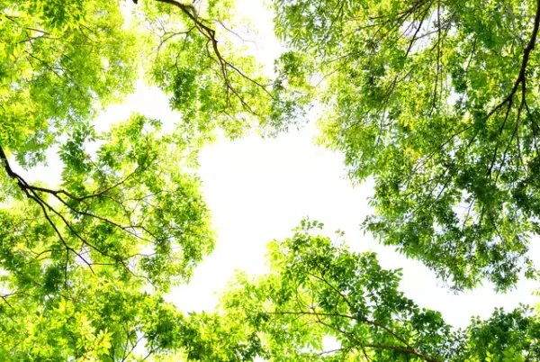 感覚過敏・学習障害の子どもだったーあの頃の気持ちって！?こんな風に工夫していた…！【学校生活編】