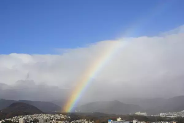 頑張ってもできない自分を受け入れるー40代で障害告知された私が、人生の再スタートに必要だったこと