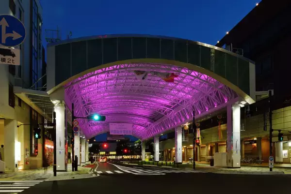 3月26日は「てんかん」啓発キャンペーンを世界中で行う「パープルデー」。紫を身につけ理解を広めよう！