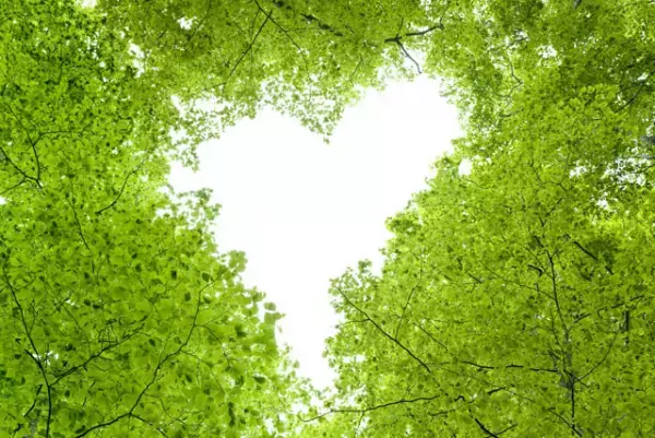 精神科医の仕事は、心に寄り添うための橋渡し役。発達障害のある子の「育ち」のために－精神科医・田中康雄