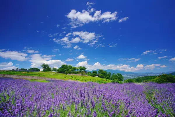 空港の「バリアをなくす」試みや個性光る美術展など。今月の見逃せないニュース・イベントを紹介！