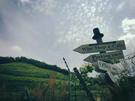 ダウン症の息子を育てる僕が、本当に父親になる日～父の日に寄せて～