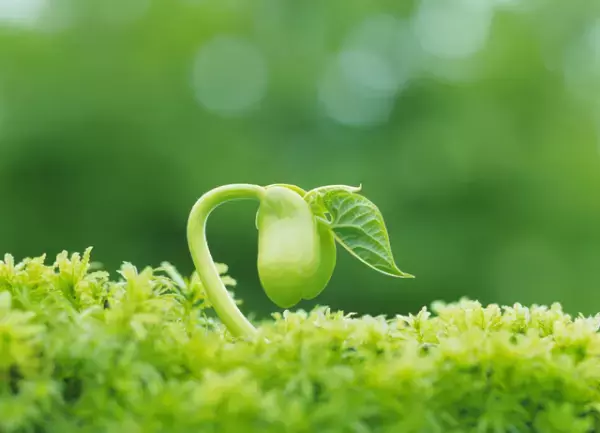 ひとりで奮闘する発達障害児のママたちへ。同じ思いを抱える親だからできるペアレントメンターのサポートとは