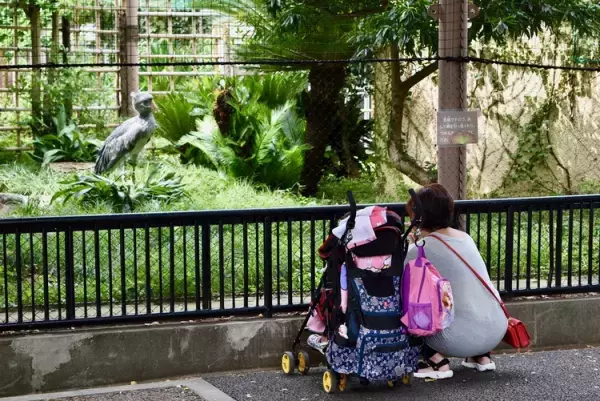 2018年夏休みの思い出をつくろう！発達障害のある子も楽しみやすいイベント紹介