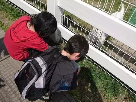 「発達障害は理解されなくて当たり前」じゃない!?不登校を続ける息子の学校からの提案で、気づいたこと