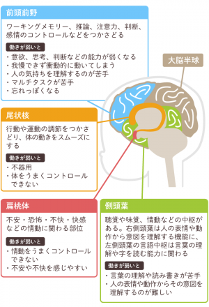 図解 発達障害とは もし 発達障害かも と思ったら 分類 原因 相談先 診断についてイラスト でわかりやすく解説します 18年8月28日 ウーマンエキサイト 2 5