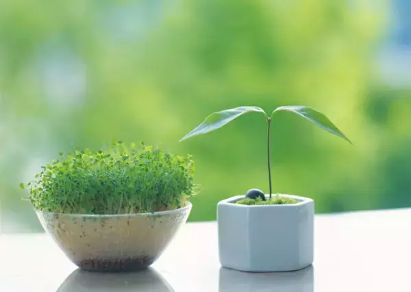 「これじゃなきゃイヤ！」モノを大切にするASD特性で、生活を豊かに!?