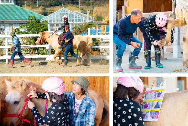 障害がある子どもたちに、アニマルセラピーの機会を！千葉県の放課後等デイサービス・ 南房総白浜デイサポート 菜の花牧場の画像