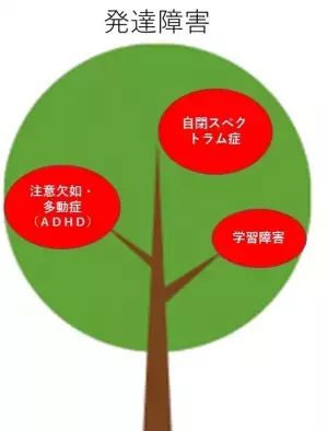ピュアな自閉スペクトラム症、ピュアなADHDは少ない!?意外に多い「重複する発達障害」を紐解く