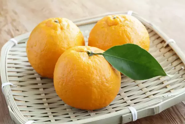 味・匂い・触感で拒否！子ども時代の食へのこだわり――大人の発達障害の私が振り返る「食べられるようになった理由」