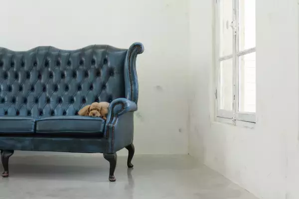 「できているから大丈夫」じゃない。思考方法もコミュニケーションも違うから――発達障害の私が社会に出て気づいた、得意と苦手のはざまの仕事