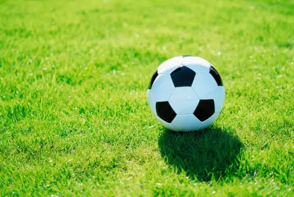 発達障害フレンドリーなサッカー観戦、霞が関おしごと体験、震災時の障害者支援がテーマの映画など――夏休みのお出かけや自由研究にも!?ぴったりのイベント情報をお届け