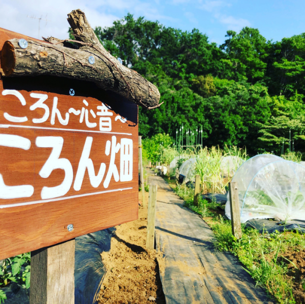 児童発達支援事業所chouchou本庄 埼玉県本庄市 に関する記事 求人情報 日経メディカル ワークス