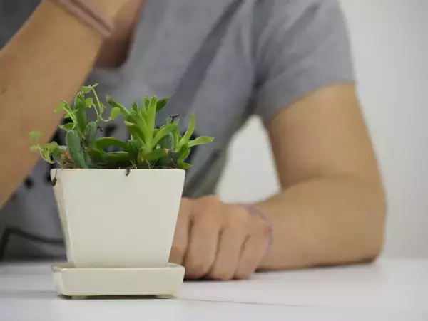 38歳デザイナー「大人になって発達障害の診断を受け、許されたように感じた」仕事での失敗や離婚を経て見つけた、なんとかするための"工夫"【連載 ＃見えない障害と生きる】