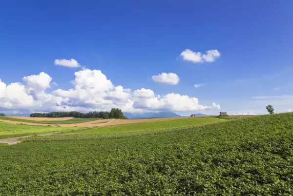 脱水と栄養不足で途中離脱した宿泊学習―ー感覚過敏の僕が具合が悪くなったワケと、必要だった対策【感覚過敏な15歳社長】