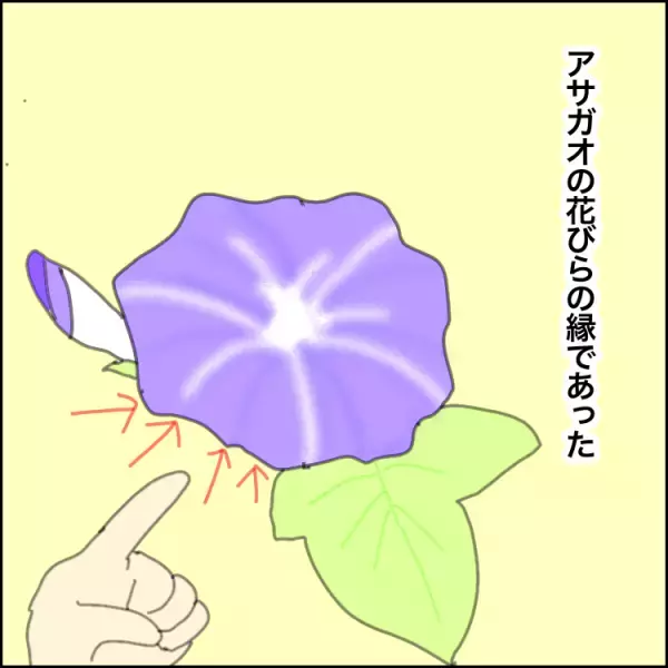 観察して描くことが苦手な自閉症息子。3時間かけたアサガオの絵に、息子の世界を感じて