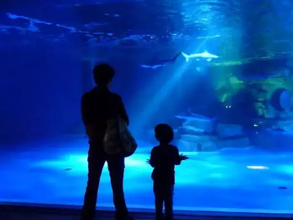 食、ニオイ、光と音がつらかった「家族旅行」。親を困らせたけど感謝している僕が思う、楽しく過ごすためのポイント【感覚過敏な15歳社長】