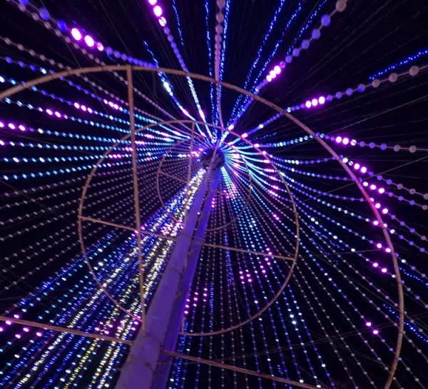 食、ニオイ、光と音がつらかった「家族旅行」。親を困らせたけど感謝している僕が思う、楽しく過ごすためのポイント【感覚過敏な15歳社長】