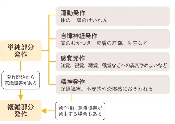 てんかん（癲癇）とは？原因や発作のパターンをイラストで詳しく解説。4つの診断の種類なども【医師監修】