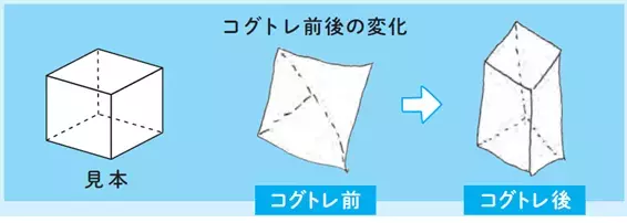 学習のつまずきは小学校低学年から？就学前にチェックしたい図形の模写から知る発達の目安もーー児童精神科医・宮口幸治先生