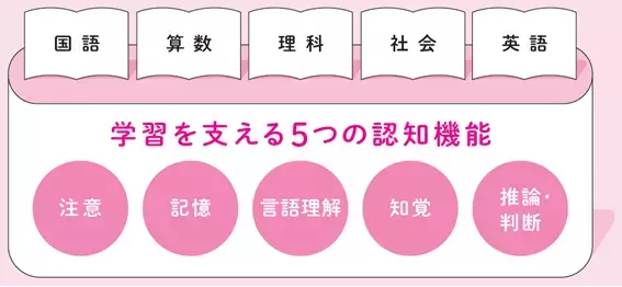学習のつまずきは小学校低学年から？就学前にチェックしたい図形の模写から知る発達の目安もーー児童精神科医・宮口幸治先生