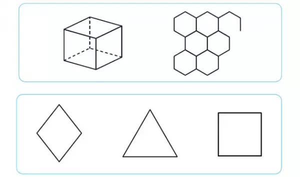 学習のつまずきは小学校低学年から？就学前にチェックしたい図形の模写から知る発達の目安もーー児童精神科医・宮口幸治先生