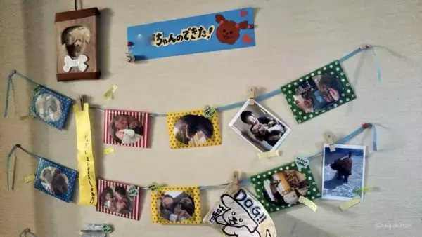 ほめているのに自己肯定感がUPしない!?子ども自身が自分の成長を実感できる、わが家の「できた日記」を公開