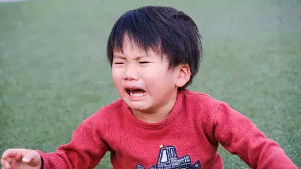 癇癪、こだわりの強さ…どう対応したらいいの？幼児期の悩みに発達の専門家が答える！【2/17（土）開催】