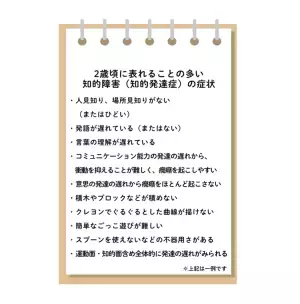 2歳、知的障害の症状、軽度の場合は？受けられる知能検査、相談先など【医師監修】