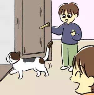 お互いにけん制!?猫が苦手な重度知的障害息子と飼い猫の不思議な関係【読者体験談】