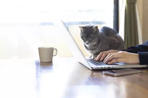 【新連載】「診断はない、でも生きづらい」母の不在、双極性障害、ひきこもり…「自分はダメだ」から脱却した40代の今