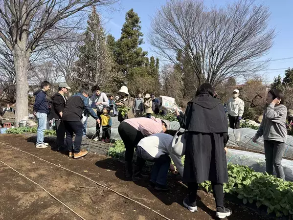 【取材レポ】特別支援学校の卒業は学びの終わりじゃない。「18歳の壁」に挑む「夢育て農園」