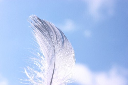 あなたを開運に導く！運気のデトックス法