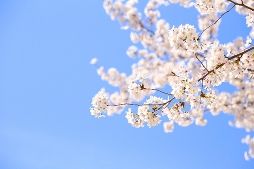 「恋愛最強ラッキー風水占い」　3月1日～3月15日