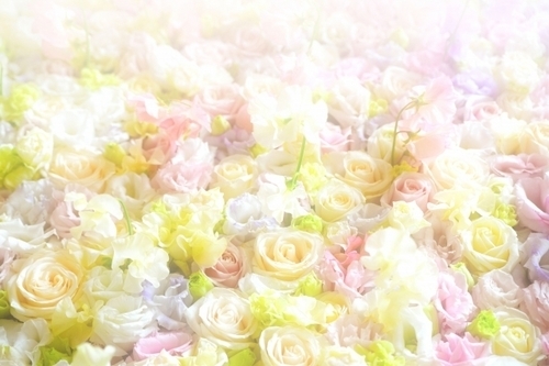 ３月は女子力アップ月！一瞬で彼の気持ちを引き寄せる開運姫風水