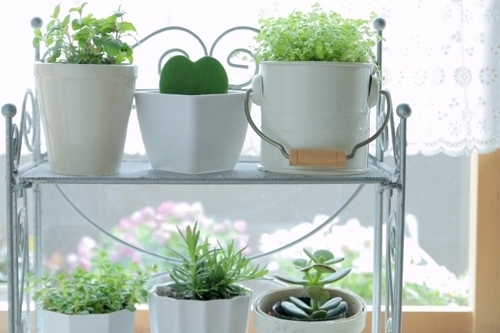 早寝早起きは「ダイエット100kcalの得」！朝の空腹時間を有効活用しよう