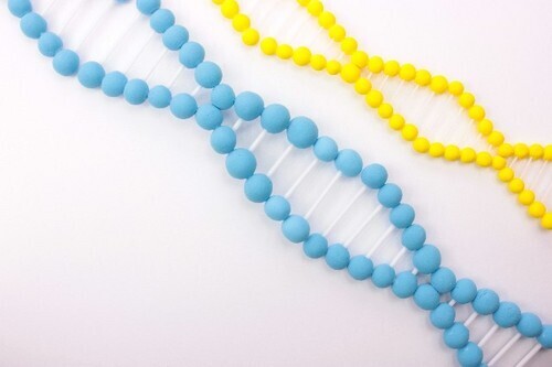 いつまでもキレイな女子の秘密はこれ！？注目の美容成分「DNA」